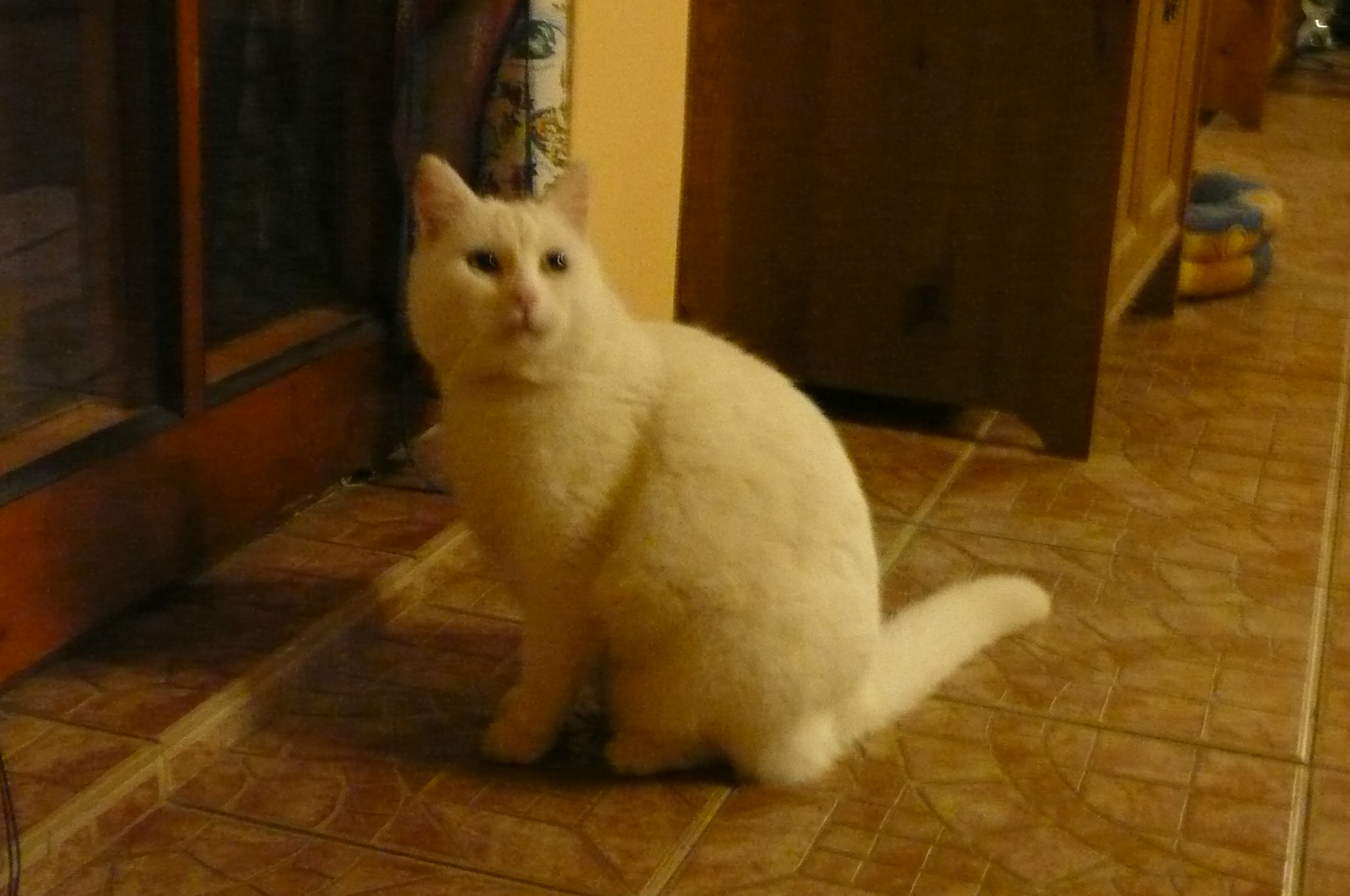 Umelecký pohľad