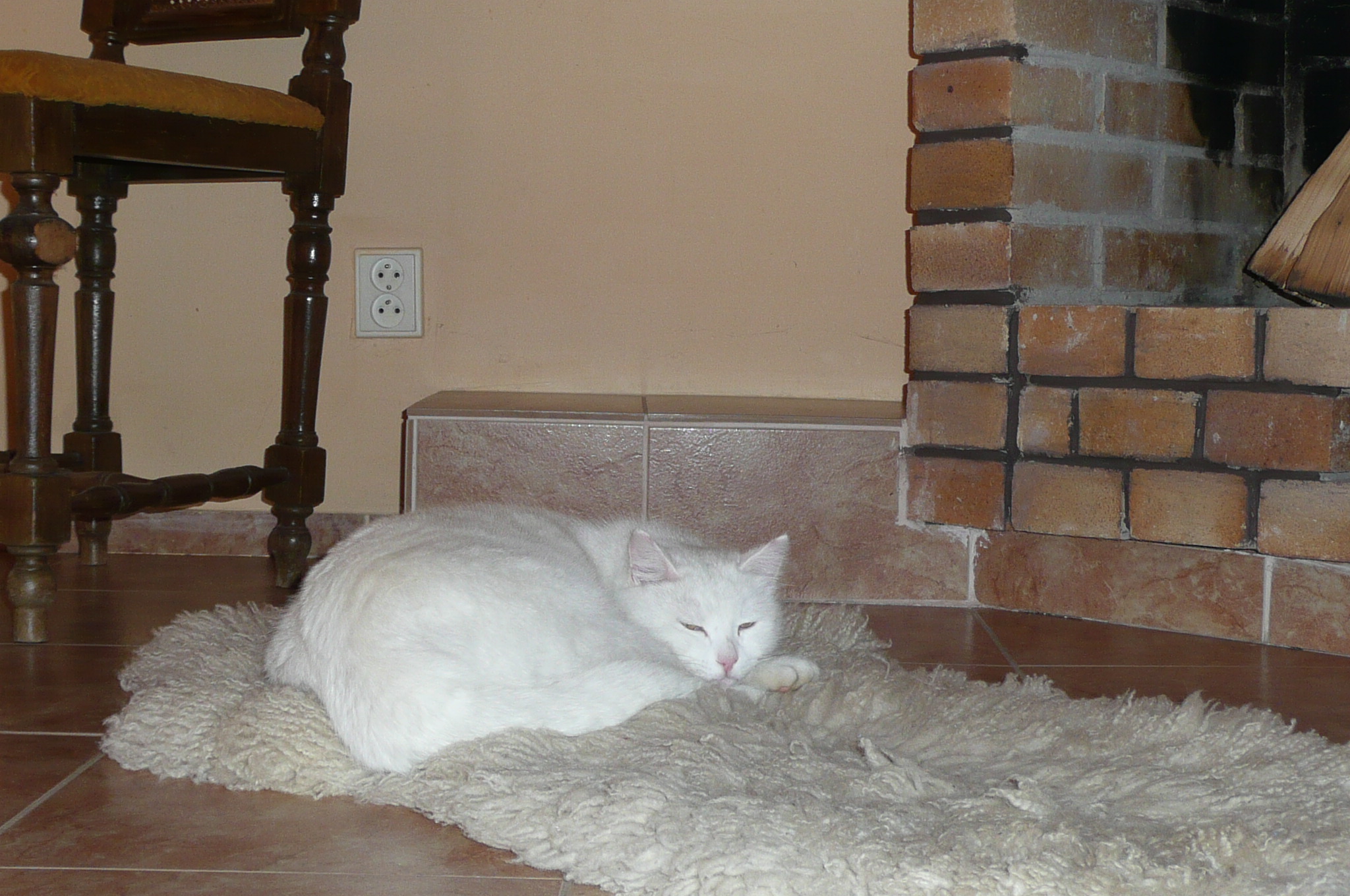 P1080626.JPG